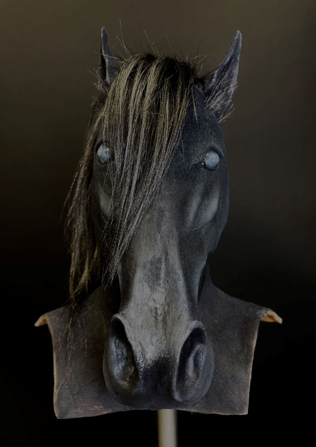 Abi Hortons horses head model