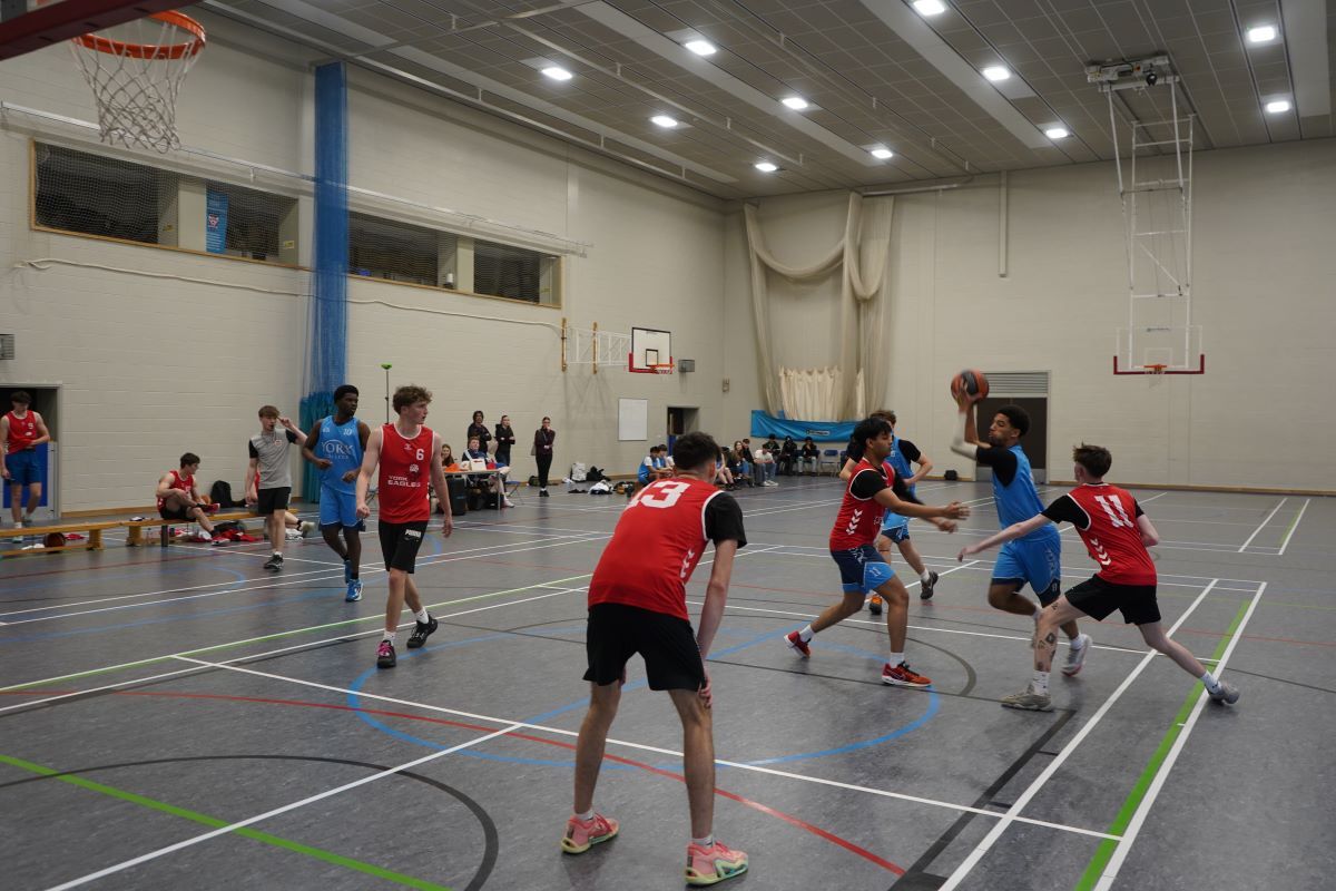 Basketball 6