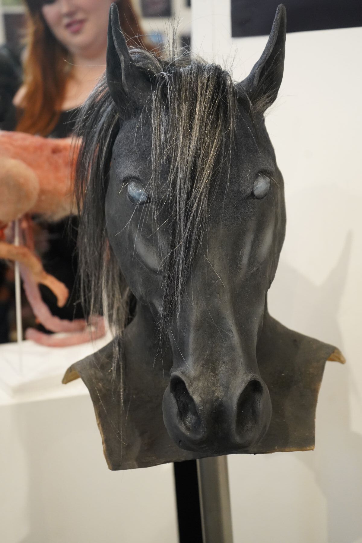Degree Show 7