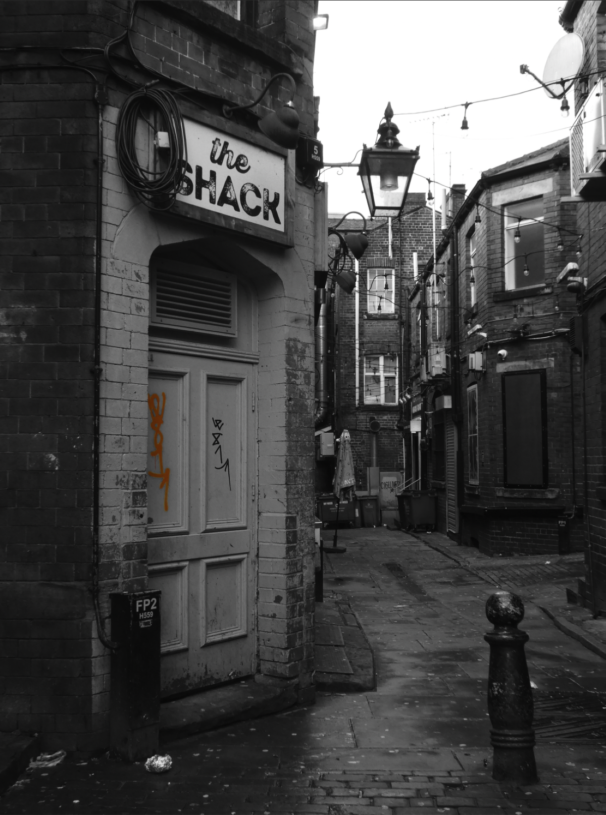 Erin Williams The Shack