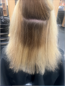 Client_hair_before_photo_blonde_showing_root_growth