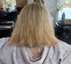 Client_hair_before_image