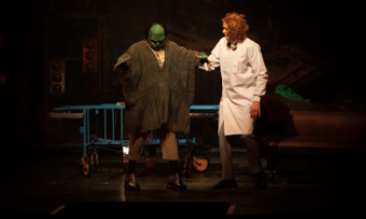 Young Frankenstein 4
